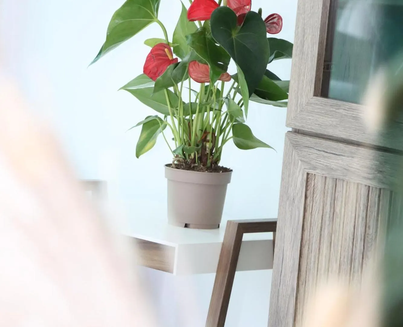 Vista Lavisha Vacation Home - Elegant 1Bdr Apartment With Stunning Sea View And Partial Canal View Dubai